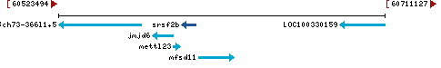 Genomic Context describing neighboring genes