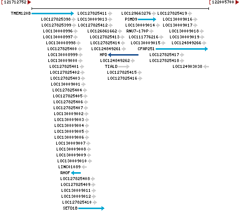 Genomic Context describing neighboring genes