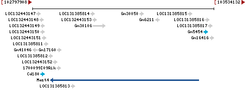 Genomic Context describing neighboring genes