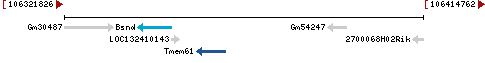 Genomic Context describing neighboring genes