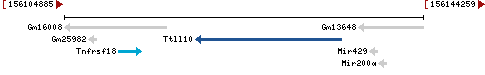 Genomic Context describing neighboring genes