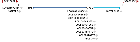 Genomic Context describing neighboring genes