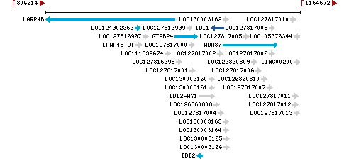 Genomic Context describing neighboring genes