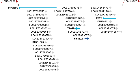 Genomic Context describing neighboring genes