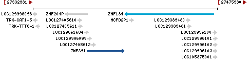 Genomic Context describing neighboring genes