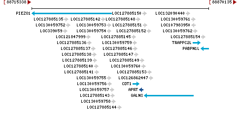 Genomic Context describing neighboring genes