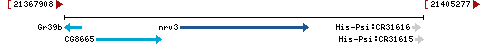 Genomic Context describing neighboring genes