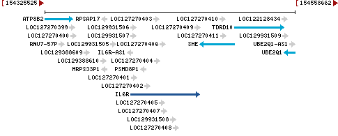 Genomic Context describing neighboring genes