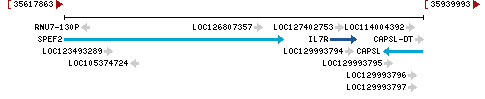 Genomic Context describing neighboring genes