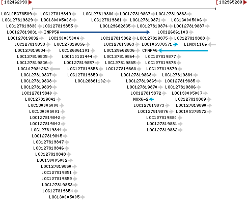 Genomic Context describing neighboring genes