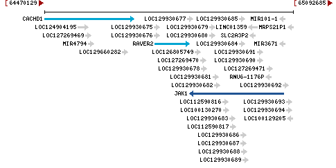 Genomic Context describing neighboring genes