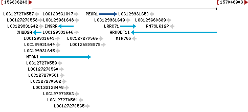 Genomic Context describing neighboring genes