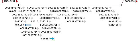 Genomic Context describing neighboring genes