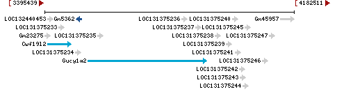 Genomic Context describing neighboring genes