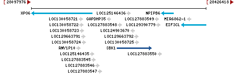 Genomic Context describing neighboring genes