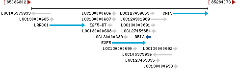 Genomic Context describing neighboring genes