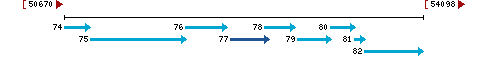 Genomic Context describing neighboring genes