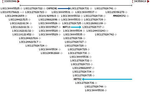 Genomic Context describing neighboring genes