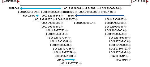 Genomic Context describing neighboring genes