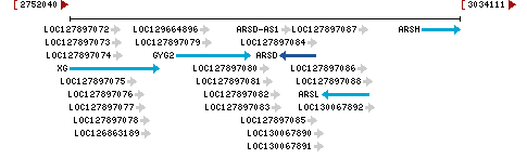 Genomic Context describing neighboring genes