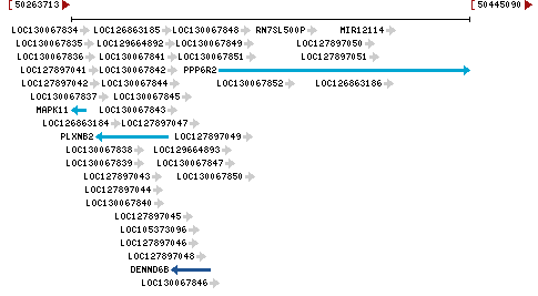 Genomic Context describing neighboring genes