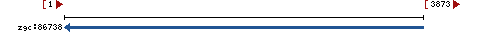 Genomic Context describing neighboring genes