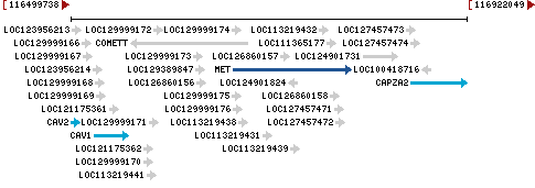 Genomic Context describing neighboring genes