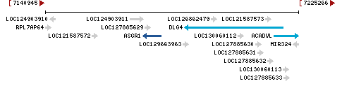 Genomic Context describing neighboring genes