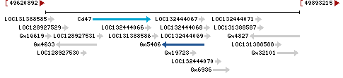 Genomic Context describing neighboring genes