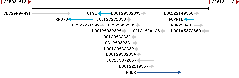 Genomic Context describing neighboring genes