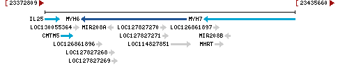 Genomic Context describing neighboring genes