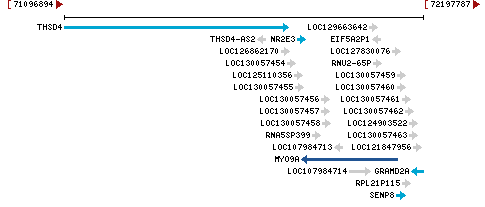 Genomic Context describing neighboring genes