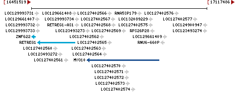 Genomic Context describing neighboring genes