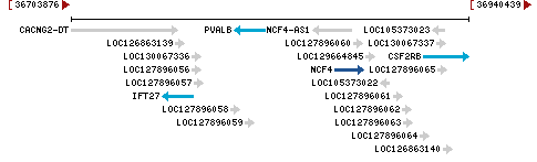 Genomic Context describing neighboring genes