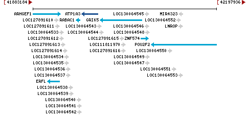 Genomic Context describing neighboring genes