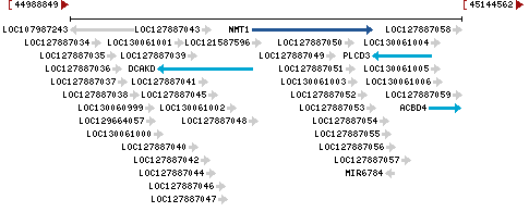 Genomic Context describing neighboring genes