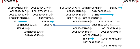 Genomic Context describing neighboring genes