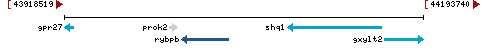 Genomic Context describing neighboring genes