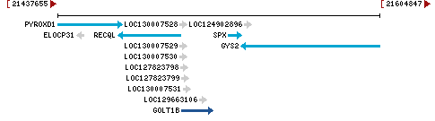 Genomic Context describing neighboring genes