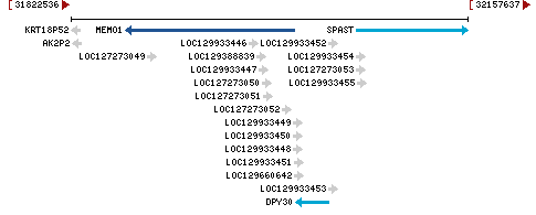 Genomic Context describing neighboring genes