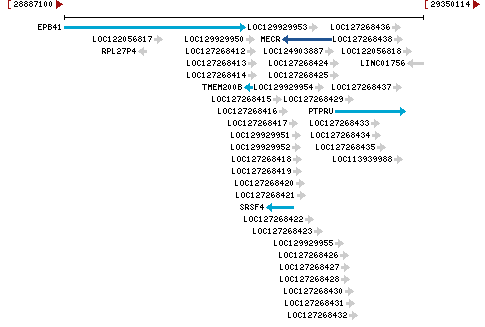 Genomic Context describing neighboring genes