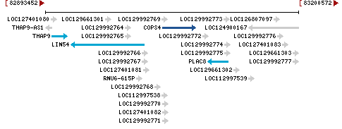 Genomic Context describing neighboring genes