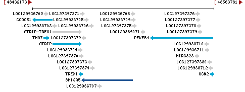 Genomic Context describing neighboring genes