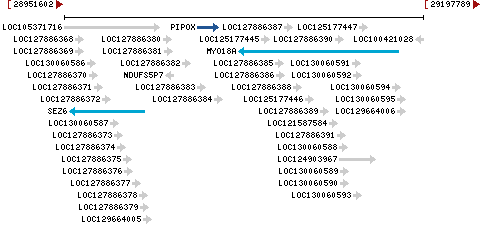 Genomic Context describing neighboring genes