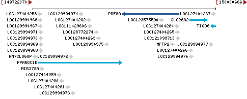 Genomic Context describing neighboring genes