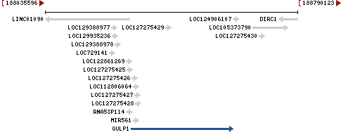 Genomic Context describing neighboring genes