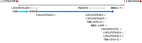 Genomic Context describing neighboring genes