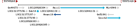 Genomic Context describing neighboring genes