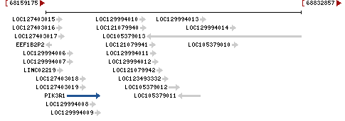 Genomic Context describing neighboring genes