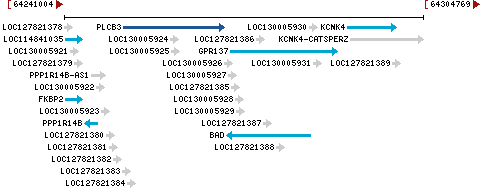 Genomic Context describing neighboring genes